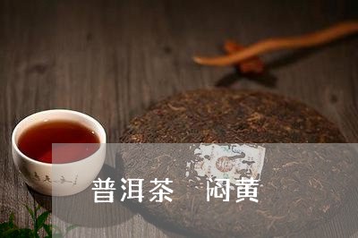 普洱茶 闷黄/2023042727285